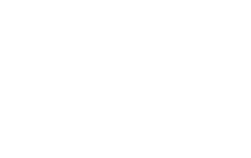STRAUS Informática